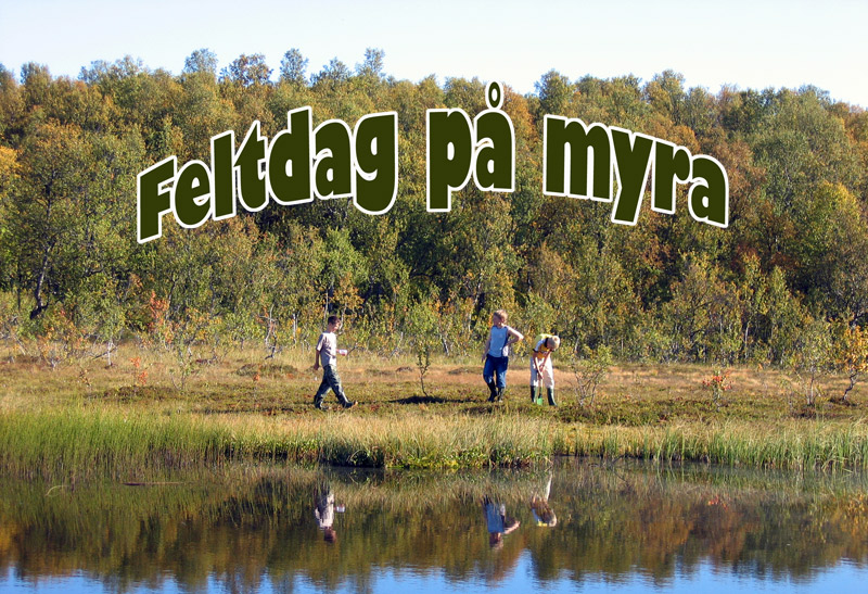 feltdag_aug06